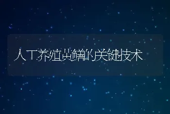 保护塘虱鱼亲鱼安全越冬