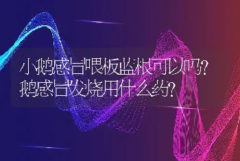 小鹅感冒喂板蓝根可以吗？鹅感冒发烧用什么药？