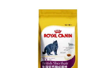 英国短毛猫正确的饲养方式是什么？