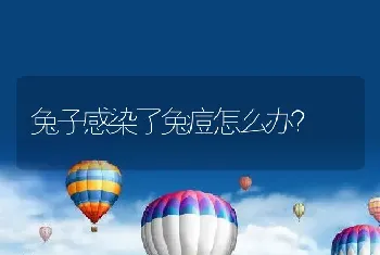 兔子感染了兔痘怎么办？