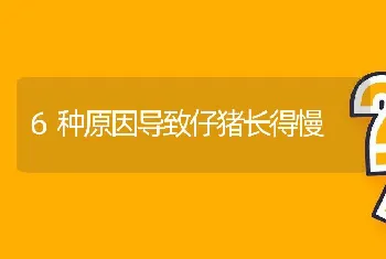 6种原因导致仔猪长得慢