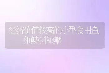 鹌鹑黄白痢的治疗新方法