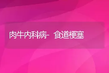 肉牛内科病-食道梗塞