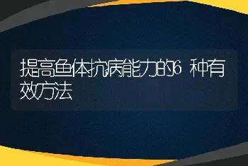 提高鱼体抗病能力的6种有效方法