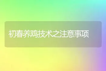 初春养鸡技术之注意事项