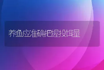 养鱼应准确把握投饵量