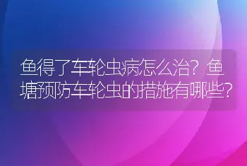 鱼得了车轮虫病怎么治？鱼塘预防车轮虫的措施有哪些？