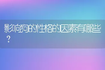 影响狗的性格的因素有哪些？