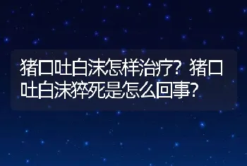 猪口吐白沫怎样治疗？猪口吐白沫猝死是怎么回事？