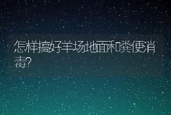 鸡冠发白是什么病怎么治疗？