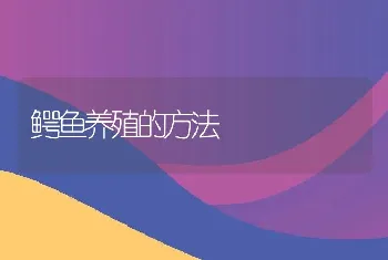 鳄鱼养殖的方法