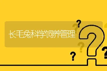 长毛兔科学饲养管理