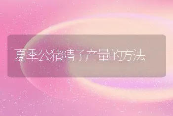 夏季公猪精子产量的方法