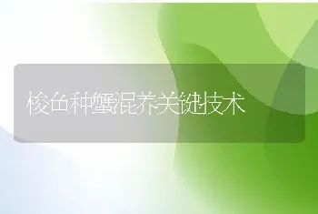 梭鱼种蟹混养关键技术