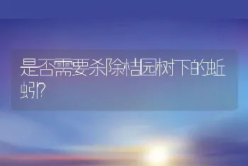 是否需要杀除桔园树下的蚯蚓？