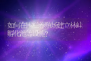 如何在围栏养殖场建立林蛙孵化池等设施？