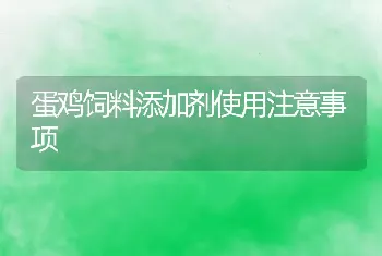 蛋鸡饲料添加剂使用注意事项