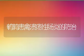 鹌鹑患禽溃疡性肠炎的防治