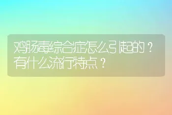 鸡肠毒综合症怎么引起的？有什么流行特点？