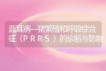 蓝耳病―猪繁殖和呼吸综合征（PRRS）的诊断与防制