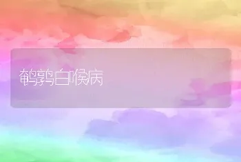 鹌鹑白喉病