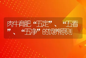 肉牛育肥“五定”、“五看”、“五净”的饲养原则