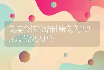 兔瘟会传染给健康兔兔吗？兔瘟传染人吗?