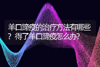 羊口蹄疫的治疗方法有哪些?得了羊口蹄疫怎么办?