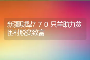 新疆尉犁770只羊助力贫困村脱贫致富