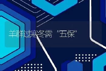 羊群过寒冬需“五保”