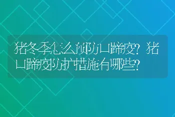 猪冬季怎么预防口蹄疫?猪口蹄疫防护措施有哪些?