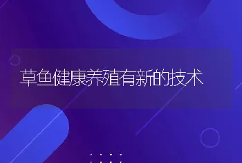 草鱼健康养殖有新的技术