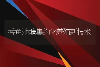 香鱼池塘集约化养殖新技术