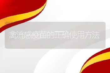 禽流感疫苗的正确使用方法