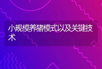 小规模养猪模式以及关键技术