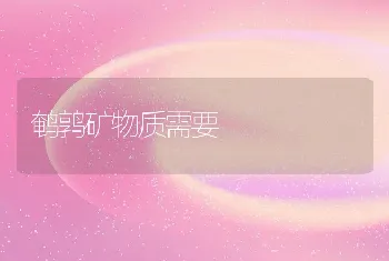 鹌鹑矿物质需要