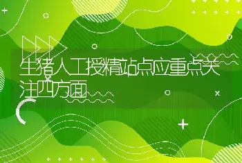 生猪人工授精站点应重点关注四方面