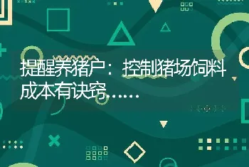 提醒养猪户：控制猪场饲料成本有诀窍……