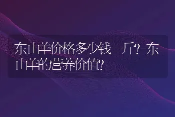 东山羊价格多少钱一斤？东山羊的营养价值?