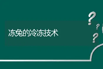 冻兔的冷冻技术