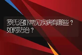 罗氏沼虾常见疾病有哪些？如何防治？