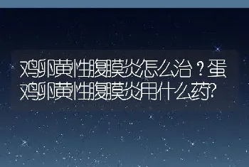 鸡卵黄性腹膜炎怎么治？蛋鸡卵黄性腹膜炎用什么药?