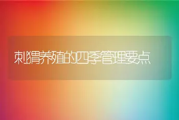 刺猬养殖的四季管理要点