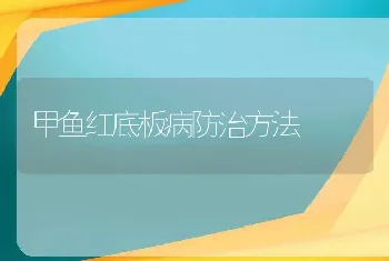 甲鱼红底板病防治方法