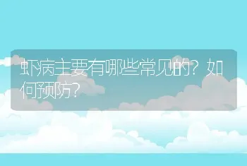 虾病主要有哪些常见的？如何预防？