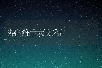 貂的维生素缺乏症