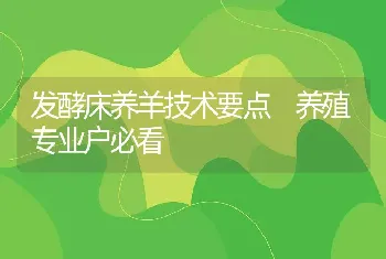 发酵床养羊技术要点 养殖专业户必看