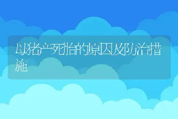 母猪产死胎的原因及防治措施