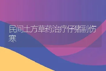 民间土方草药治疗仔猪副伤寒