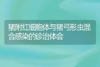 猪附红细胞体与猪弓形虫混合感染的诊治体会